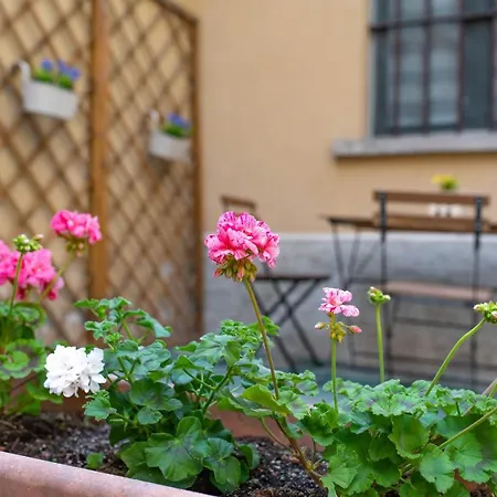 Ca' Zacinto Apartment *